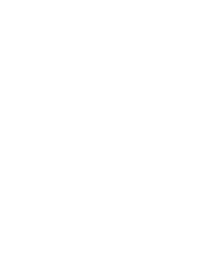 The Florida Bar Board Certified in Business Litigation
